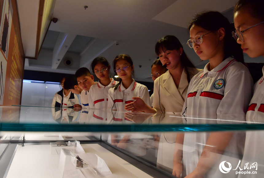 德安縣博物館講解員正在為學生們講解“南宋粽子”的歷史故事。人民網記者 時雨攝