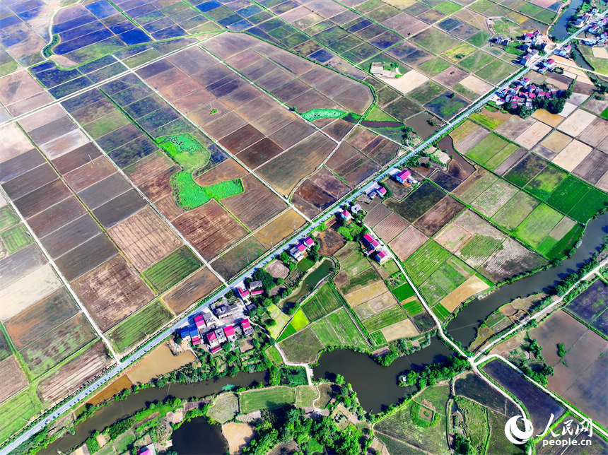 九江市永修縣馬口鎮一帶，蓄水翻耕后的高標準農田如同大自然的“調色盤”。人民網 朱海鵬攝