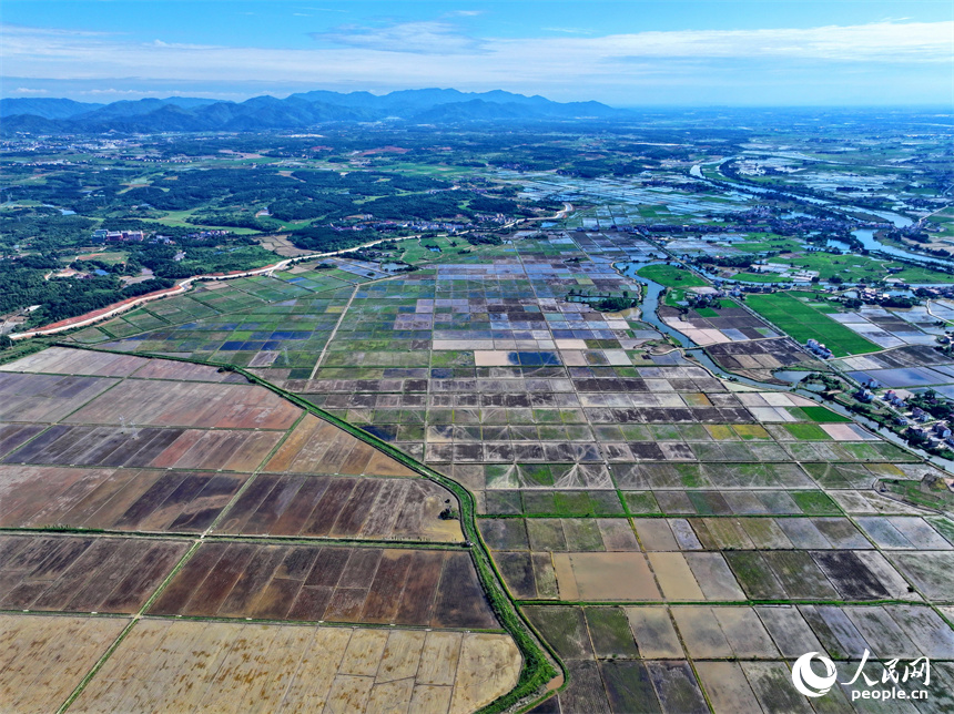 九江市永修縣馬口鎮一帶，蓄水翻耕后的高標準農田如同大自然的“調色盤”。人民網 朱海鵬攝