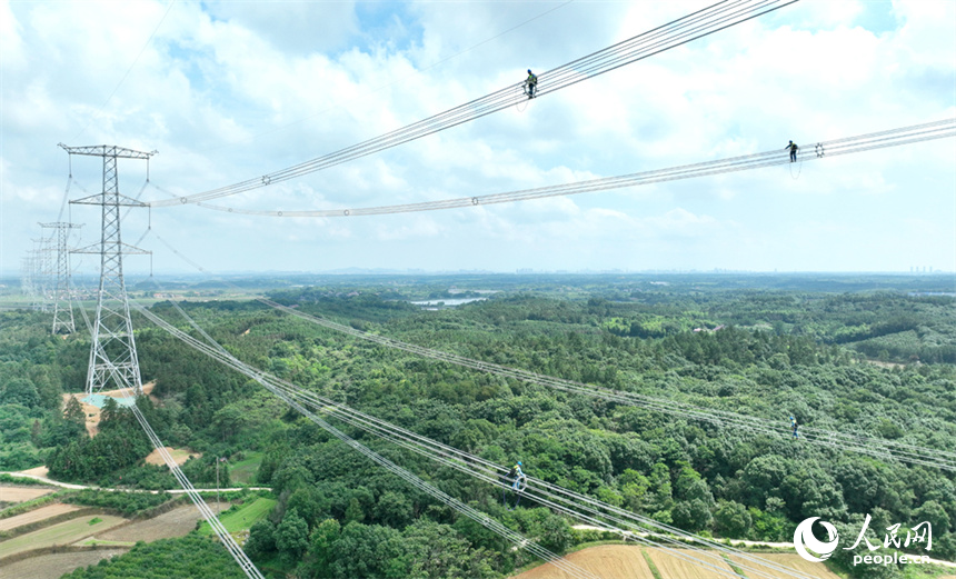 電網工作人員正在特高壓電線上走線巡檢。人民網記者 時雨攝