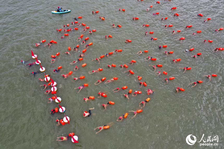 贛江中各代表隊的游泳方陣。人民網記者 時雨攝