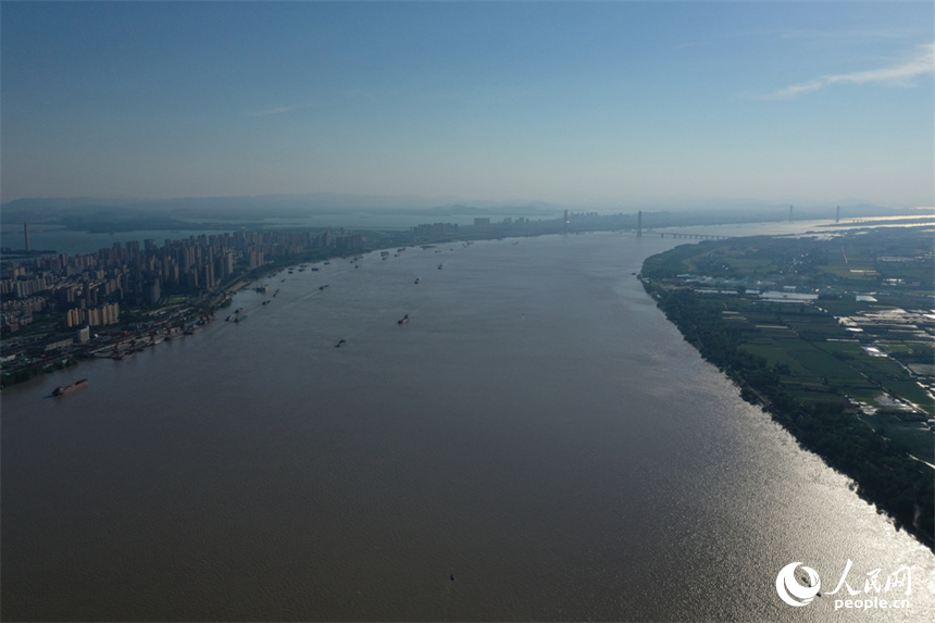7月22日長江江西九江段水位實況。人民網記者 時雨攝