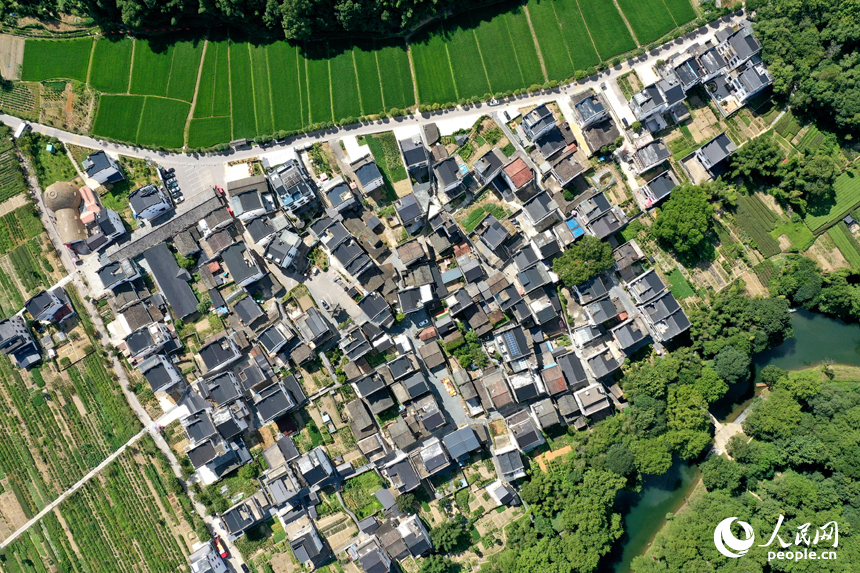 航拍鏡頭下的婺源縣秋口鎮王村石門自然村如畫卷般展現在人們面前。人民網記者 時雨攝