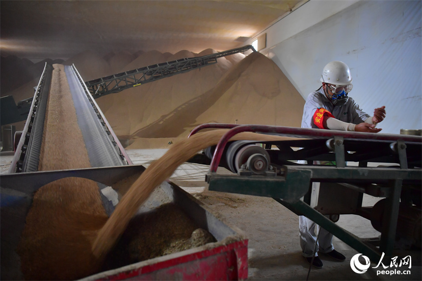 扦檢合格后，運糧車入庫卸糧。人民網記者 時雨攝