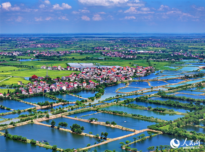 南昌縣武陽鎮朱坊村，鱗次櫛比的魚塘與鄉村房屋、公路、稻田相映相稱、風景怡人。人民網 朱海鵬攝