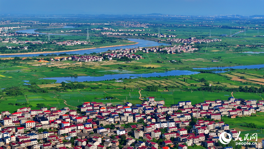 豐城市隍城鎮小嶺村一帶，一棟棟農家房屋與大美田園相映襯，夏日綠色生態美景怡人。人民網 朱海鵬攝