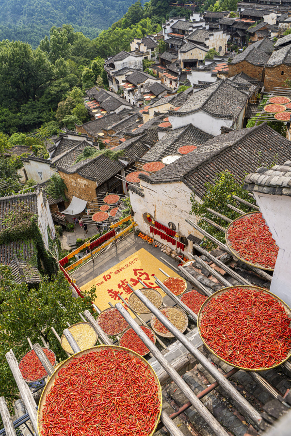 活動現場。程虹攝