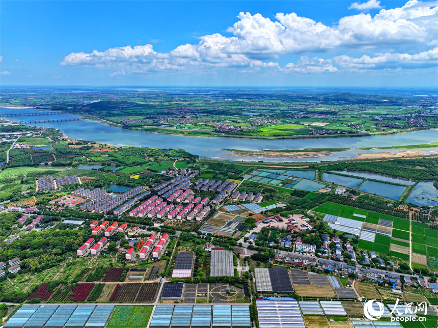 航拍南昌縣黃馬鄉鳳凰村，猶如一幅色彩斑斕的和美鄉村畫卷。人民網 朱海鵬攝