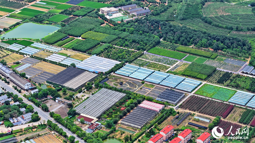 航拍南昌縣黃馬鄉鳳凰村，猶如一幅色彩斑斕的和美鄉村畫卷。人民網 朱海鵬攝