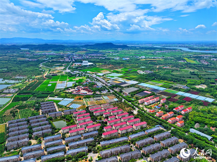 航拍南昌縣黃馬鄉鳳凰村，猶如一幅色彩斑斕的和美鄉村畫卷。人民網 朱海鵬攝