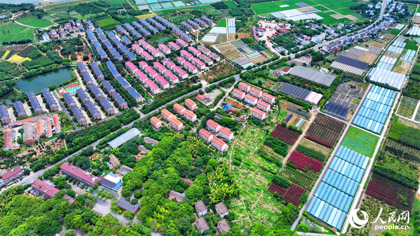 航拍南昌縣黃馬鄉鳳凰村，猶如一幅色彩斑斕的和美鄉村畫卷。人民網 朱海鵬攝
