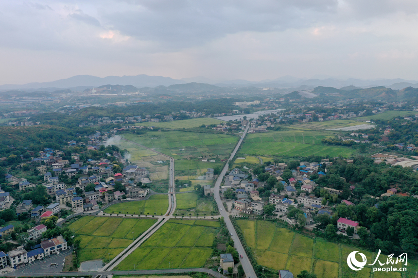 曾經的“煤陷區”經過礦區復綠、鄉村治理后綠意盎然，“煤村”蝶變成為“美村”。人民網記者 時雨攝