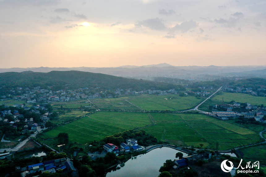曾經的“煤陷區”經過礦區復綠、鄉村治理后綠意盎然，“煤村”蝶變成為“美村”。人民網記者 時雨攝