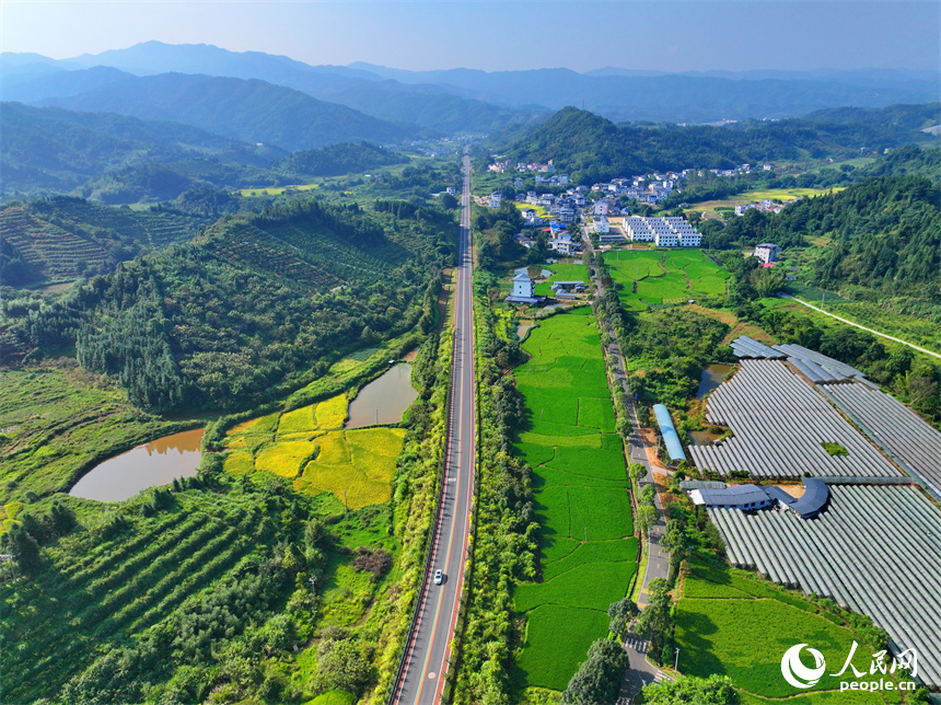 贛州市安遠縣三百山鎮符山村，仲秋時節的鄉村大地如同一幅畫。人民網 朱海鵬攝