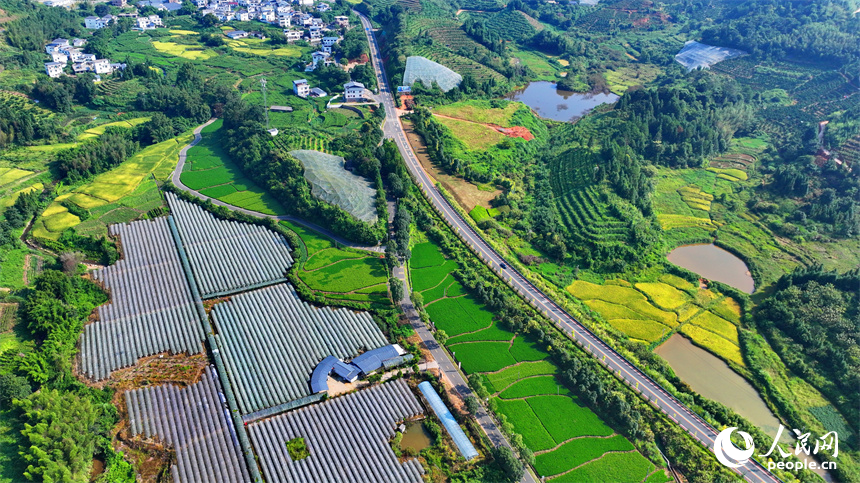 贛州市安遠縣三百山鎮符山村，仲秋時節的鄉村大地如同一幅畫。人民網 朱海鵬攝