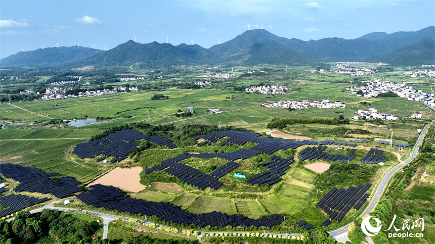 光伏板與周邊的村莊、綠色的稻田和遠山上的風力發電機相映成趣。鄭飛華攝
