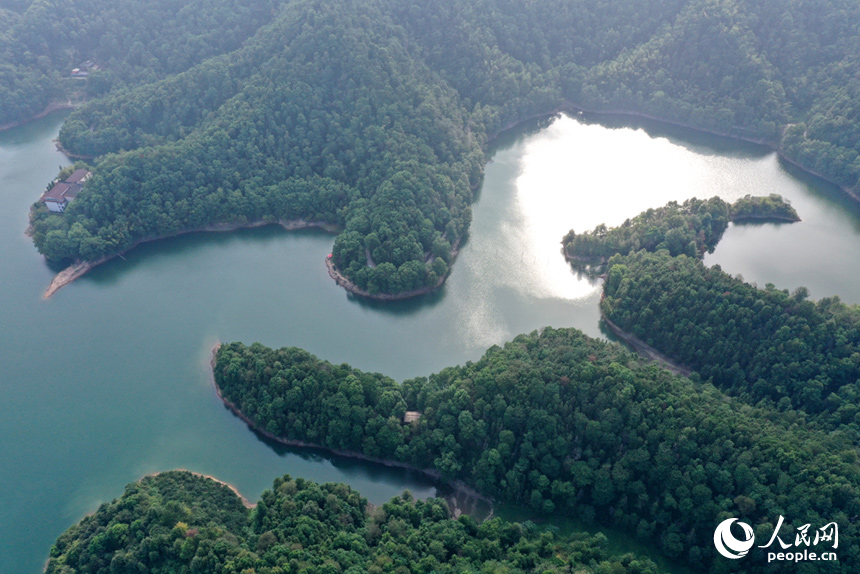 航拍鏡頭下的上栗楓林水庫山水相連、波光漣漪，宛若一幅山水畫展現在眼前。人民網記者 時雨攝