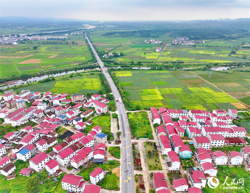 撫州市廣昌縣甘竹鎮羅家村，錯落有致的農房與廣袤農田、蜿蜒河流、筆直公路相映相稱，秋景怡人。人民網 朱海鵬攝