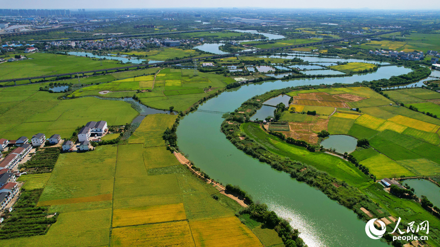 南昌縣灘上村，田野泛黃，與民房、河塘、道路等相映成景。人民網記者 毛思遠攝