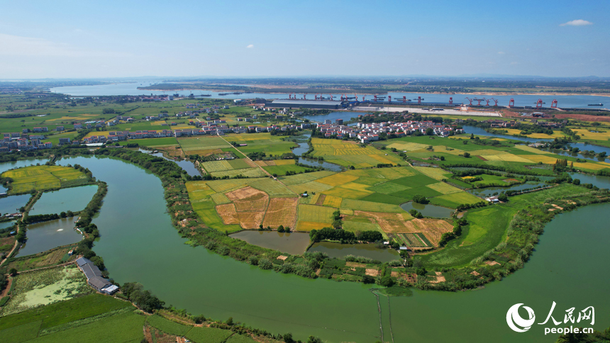 南昌縣灘上村，田野泛黃，與民房、河塘、道路等相映成景。人民網記者 毛思遠攝