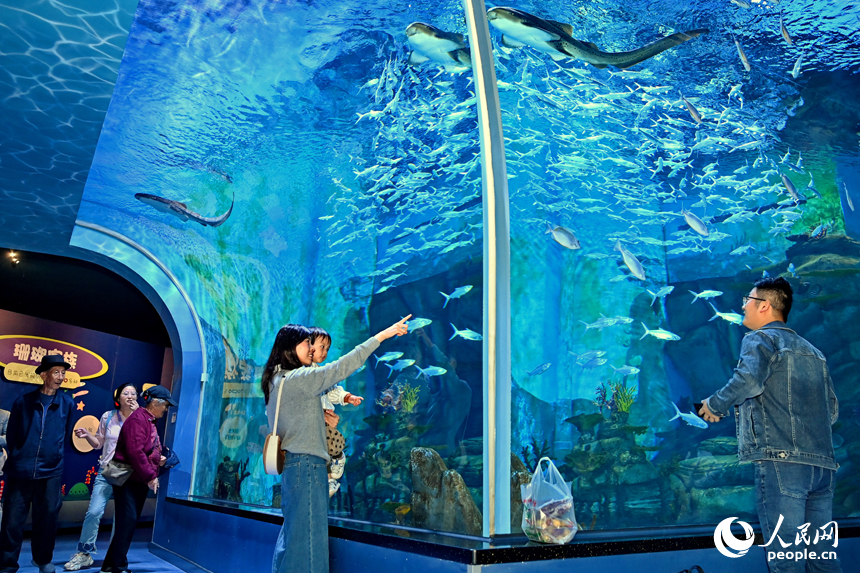 九江市湖口縣江豚灣的長江鄱陽湖水生生物保護基地，許多游客在水族館觀賞水生物。人民網 朱海鵬攝