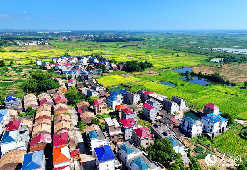 吉安市吉水縣楓江鎮小江村，一棟棟村居民房與田園、河流、綠樹相映成景。人民網 朱海鵬攝