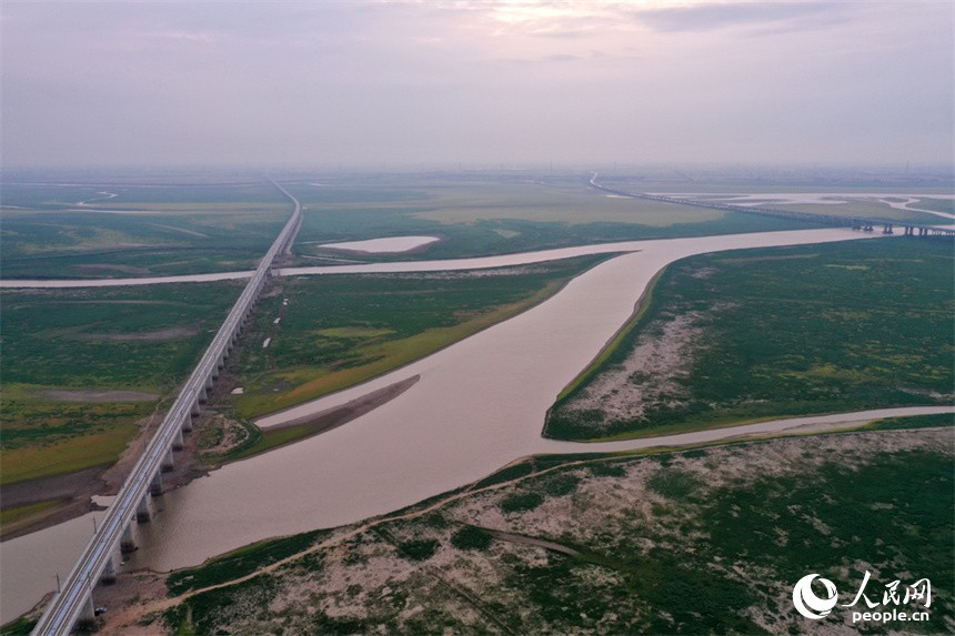 鄱陽湖的核心湖區溝壑縱橫、裸露的灘涂長滿綠草。人民網記者 時雨攝