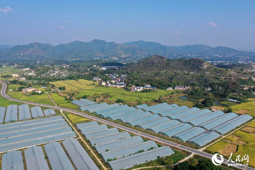 瑞金市云石山鄉豐垅村沃野與民居相映，航拍鏡頭下“豐”景如畫。人民網記者 時雨攝