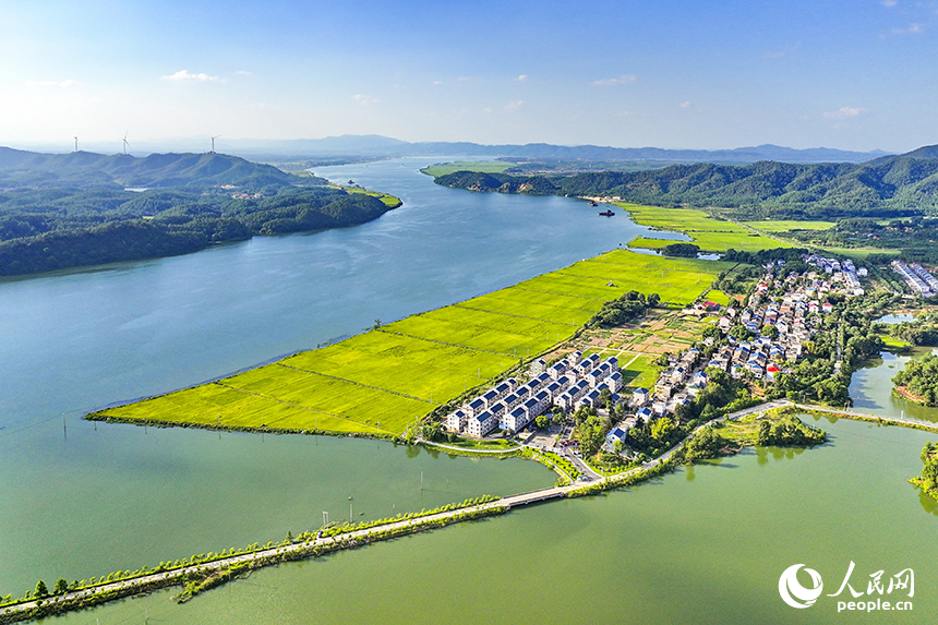 吉安市吉水縣醪橋鎮江口村，錯落有致的民居與青山綠水相映成趣，鄉村美景如畫。人民網 朱海鵬攝