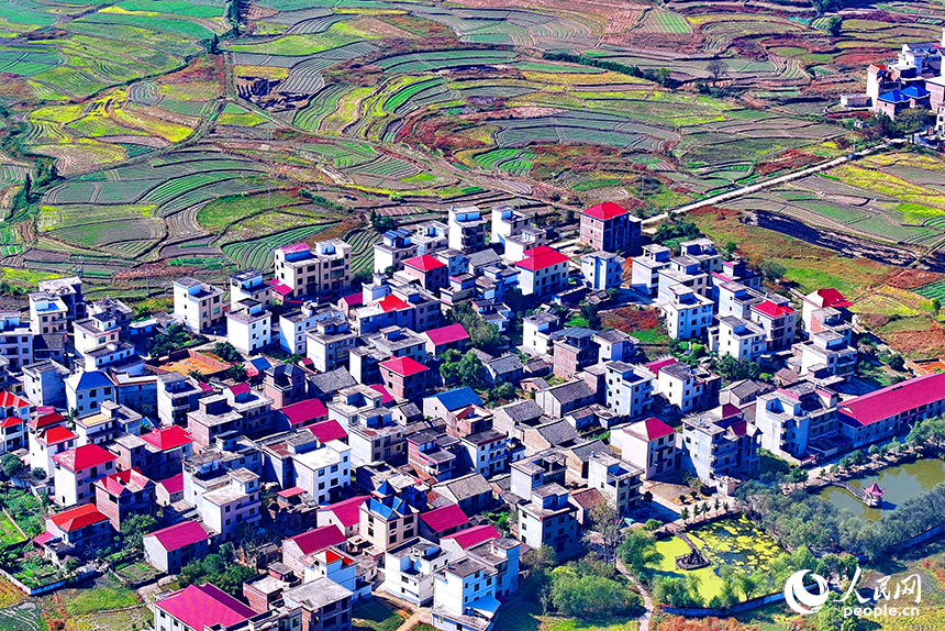 初冬時節的吉安市永新縣龍源口鎮黃陂洲村，綠樹、青山與農房、田野相映相襯。人民網 朱海鵬攝