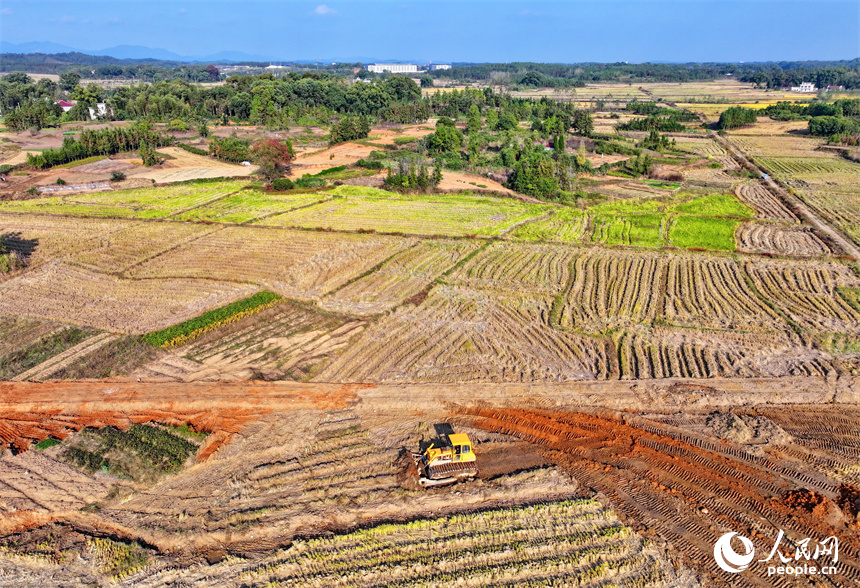 宜春市宜豐縣棠浦鎮高標準農田建設點，農機手駕駛推土機進行耕作層表土剝離。人民網朱海鵬攝