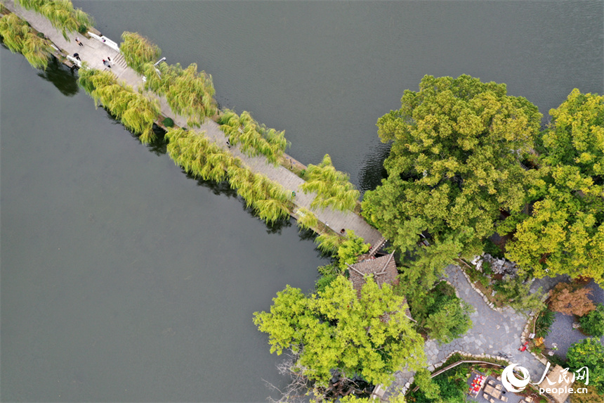 21日拍攝的南昌八一公園水清岸綠，市民和游客正在公園里休閑。人民網記者 時雨攝