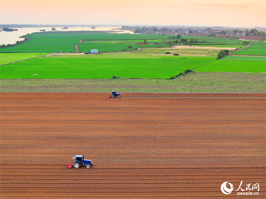 豐城市尚莊街道赤崗村村民在翻耕田地，拖拉機來回循環作業在大地上繪出漂亮的線條。人民網 朱海鵬攝