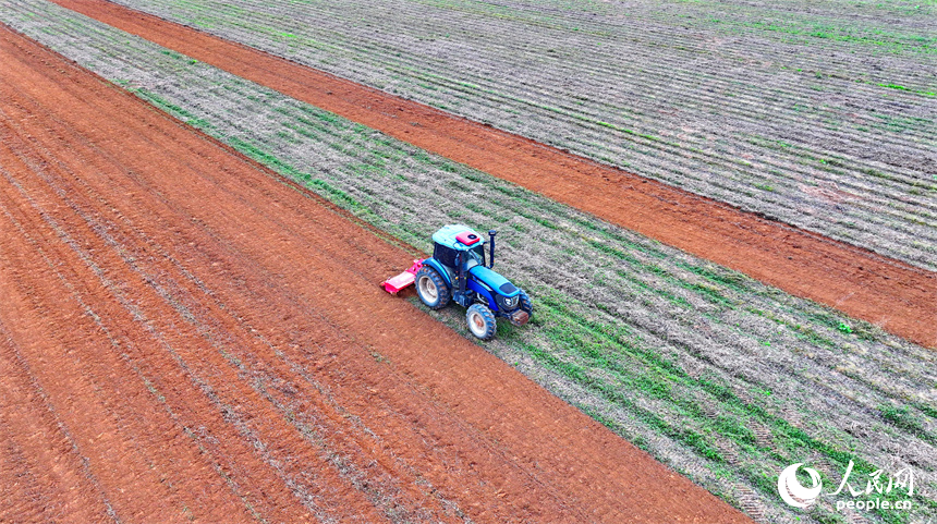 豐城市尚莊街道赤崗村村民在翻耕田地，拖拉機來回循環作業在大地上繪出漂亮的線條。人民網 朱海鵬攝