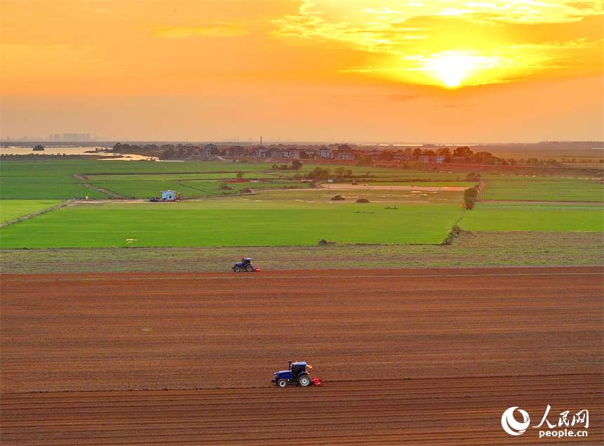 豐城市尚莊街道赤崗村村民在翻耕田地，拖拉機來回循環作業在大地上繪出漂亮的線條。人民網 朱海鵬攝