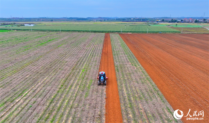 豐城市尚莊街道赤崗村村民在翻耕田地，拖拉機來回循環作業在大地上繪出漂亮的線條。人民網 朱海鵬攝