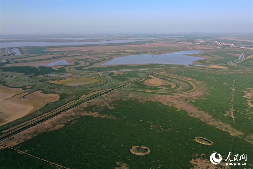 進入極枯水位的鄱陽湖溝渠縱橫，俯瞰之下，湖面成為一片大草原。人民網記者 時雨攝