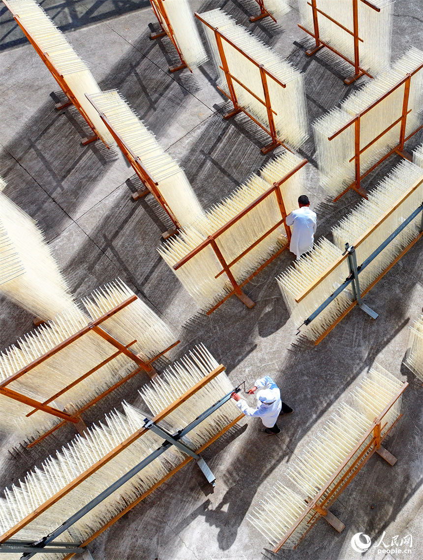 豐城市泉港鎮西岸村，許多農戶在家門口的空坪、曬場晾曬掛面，構成一道獨特的風景。人民網 朱海鵬攝