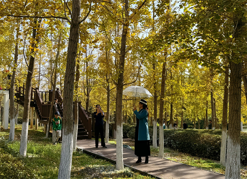 鳳凰溝迎來最佳觀賞期，吸引市民打卡拍照。人民網記者 羅娜攝