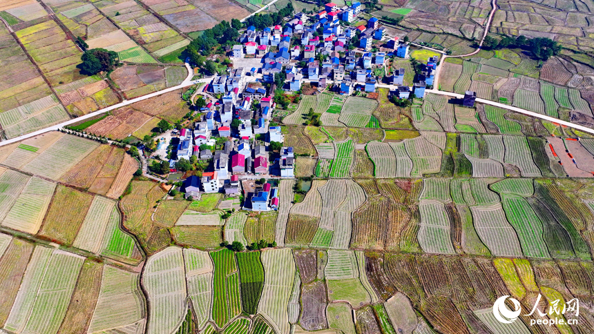 吉安市永新縣龍源口鎮辛田村一帶，農村公路與錯落有致的耕地、農房交相輝映，構成一道獨特的冬日鄉村美景。人民網 朱海鵬攝