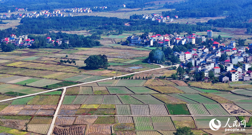 吉安市永新縣龍源口鎮辛田村一帶，農村公路與錯落有致的耕地、農房交相輝映，構成一道獨特的冬日鄉村美景。人民網 朱海鵬攝