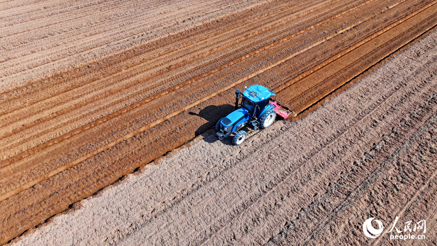 豐城市尚莊街道的一處蔬菜種植基地，農機手駕駛犁田機在耕整農田，種植露地蔬菜。人民網 朱海鵬攝