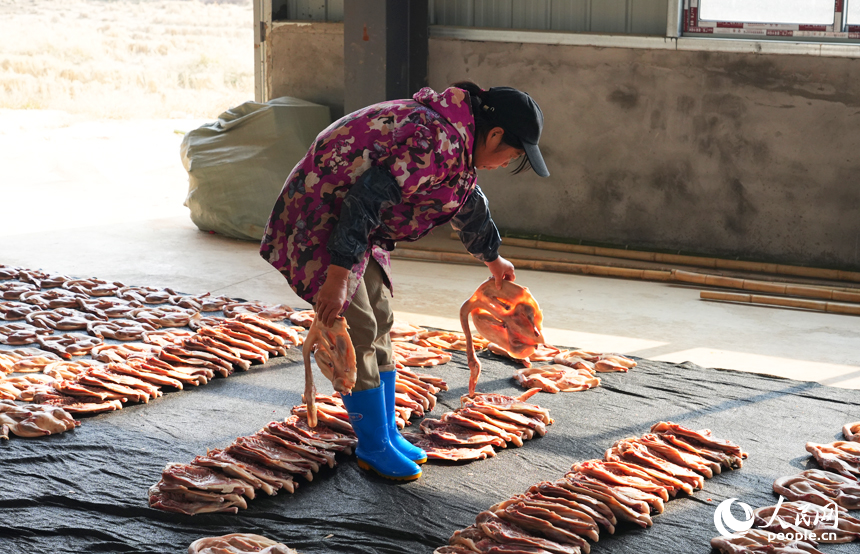 晾曬前，工人將腌制好的板鴨平鋪定型。人民網記者 毛思遠攝