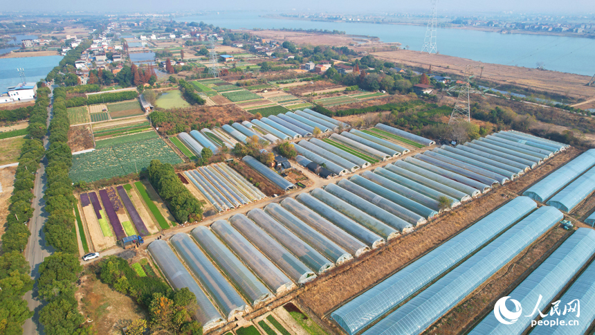 航拍南昌市東湖區揚子洲鎮火車頭農場。人民網記者 毛思遠攝
