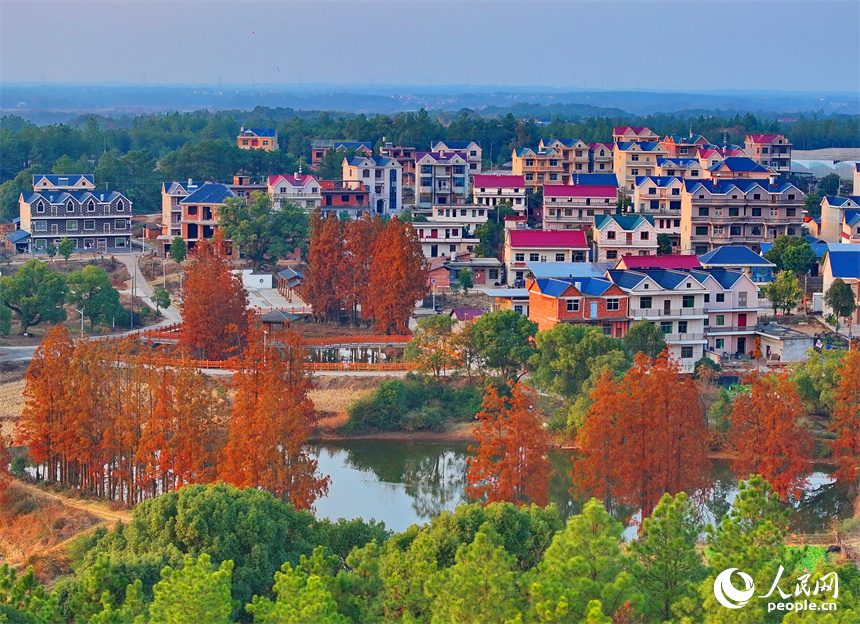 上饒市弋陽縣圭峰鎮馮家村和美鄉村如畫卷。人民網 朱海鵬攝