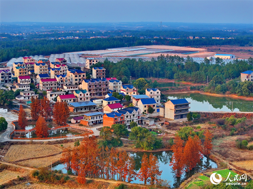 上饒市弋陽縣圭峰鎮馮家村和美鄉村如畫卷。人民網 朱海鵬攝