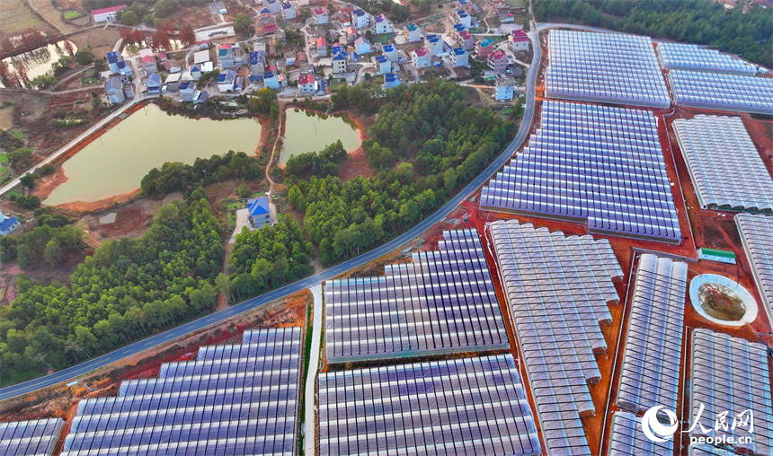 上饒市弋陽縣圭峰鎮馮家村和美鄉村如畫卷。人民網 朱海鵬攝