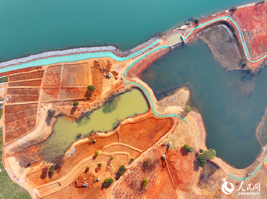 吉水縣贛江江灘，工人操作機械設備在進行表土剝離，為下一步種植草皮、樹木等綠化苗木做準備。人民網 朱海鵬攝