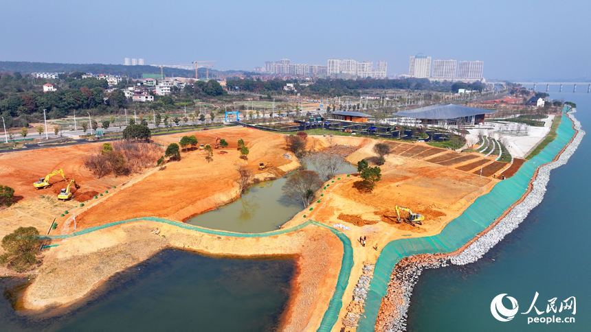 吉水縣贛江江灘，工人操作機械設備在進行表土剝離，為下一步種植草皮、樹木等綠化苗木做準備。人民網 朱海鵬攝