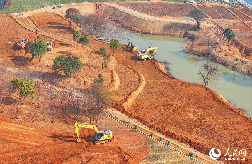 吉水縣贛江江灘，工人操作機械設備在進行表土剝離，為下一步種植草皮、樹木等綠化苗木做準備。人民網 朱海鵬攝